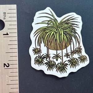 10/$10 Plant Aesthetic Sticker -Waterproof Vinyl Water Bottle Laptop Scrapbook